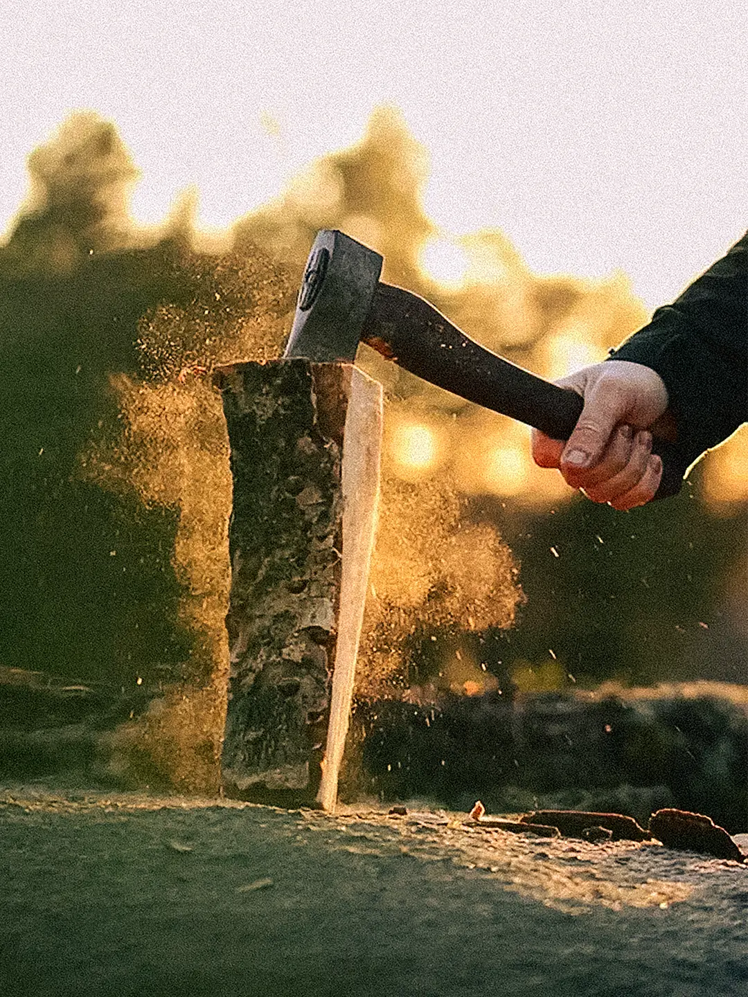 Ekstra utsnitt av Vikingøksa 32